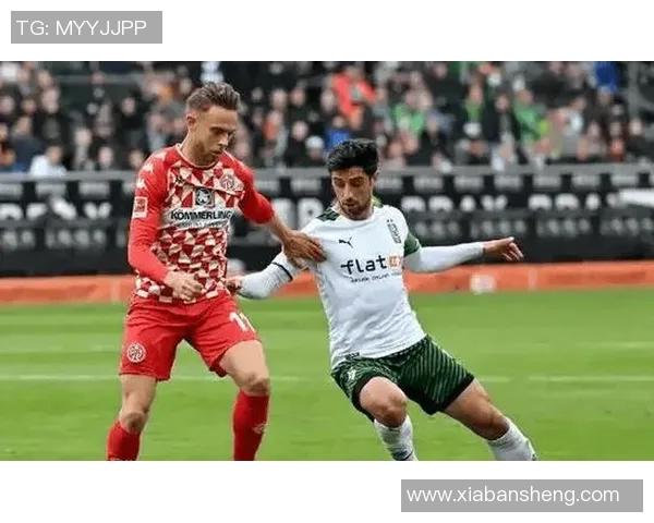 霍芬海姆主场大胜提升排名，门兴格拉德巴赫难阻逆风势头